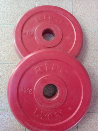 2 dischi palestra gommati 