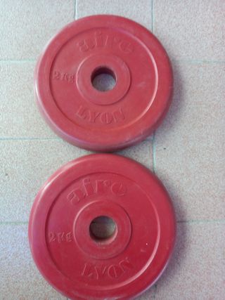 2 dischi palestra gommati 