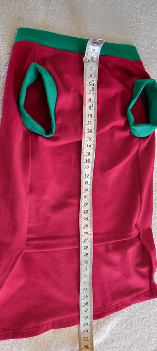 Vestitino natalizio cane