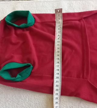 Vestitino natalizio cane