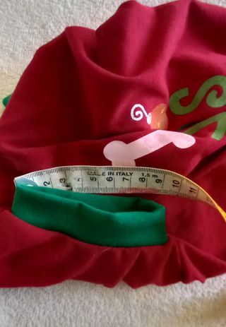 Vestitino natalizio cane