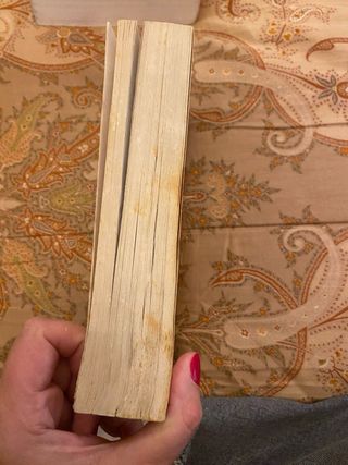 El medico de Noah Gordon