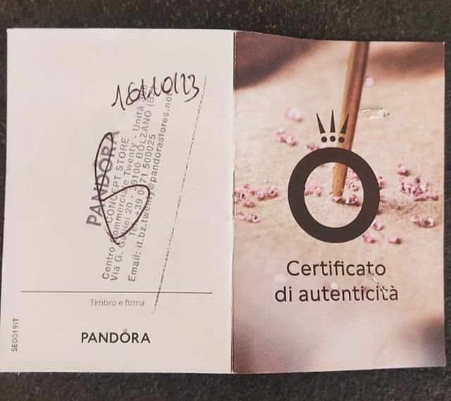 Bracciale donna Pandora Moments con Charm NUOVO