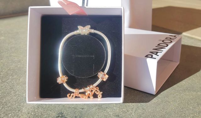 Bracciale donna Pandora Moments con Charm NUOVO