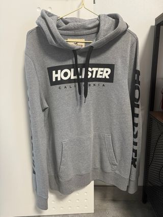Sudadera Hollister