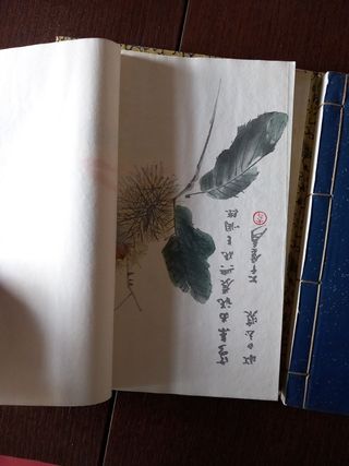 Doppia collezione di dipinti