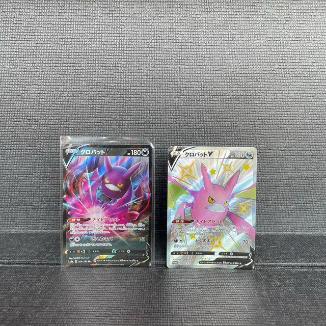 Pokemon Zacian Zamazenta V Mint