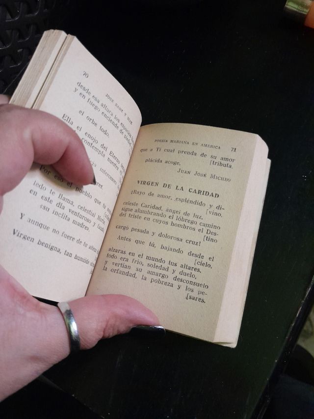 Enciclopedia pulga: Poesía mariana en