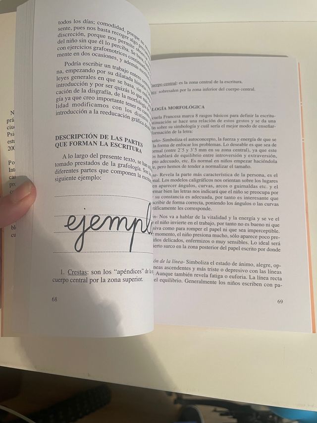 Libro grafologia. La disgrafia