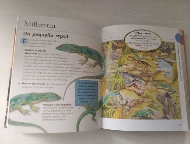 Libro Dinosaurios