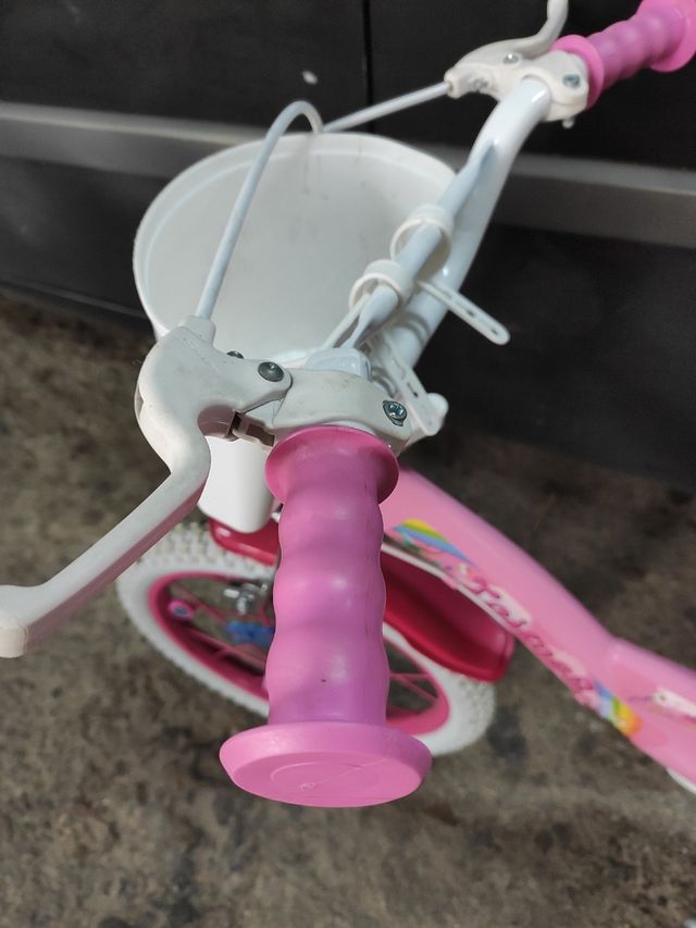 Bici 16 pulgadas con ruedines