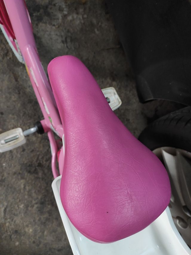 Bici 16 pulgadas con ruedines