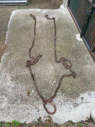 Pulpo cadena 