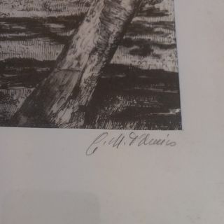 Serigrafia china su seta G.M.D'Amico