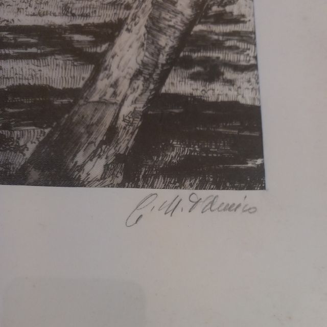 Serigrafia china su seta G.M.D'Amico