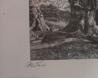 Serigrafia china su seta G.M.D'Amico