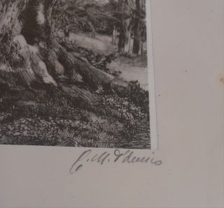 Serigrafia china su seta G.M.D'Amico