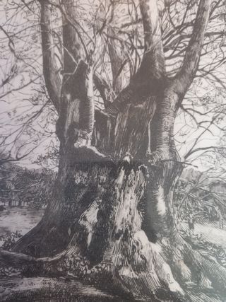 Serigrafia china su seta G.M.D'Amico