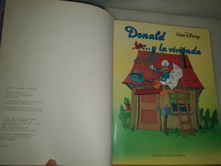 Libros Donald la vivienda y rey leon