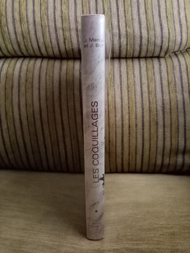 LES  COQUILLAGES