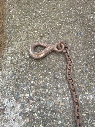 Pulpo cadena