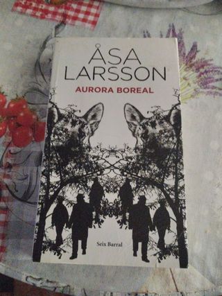 Asa Larsson Aurora Boreal