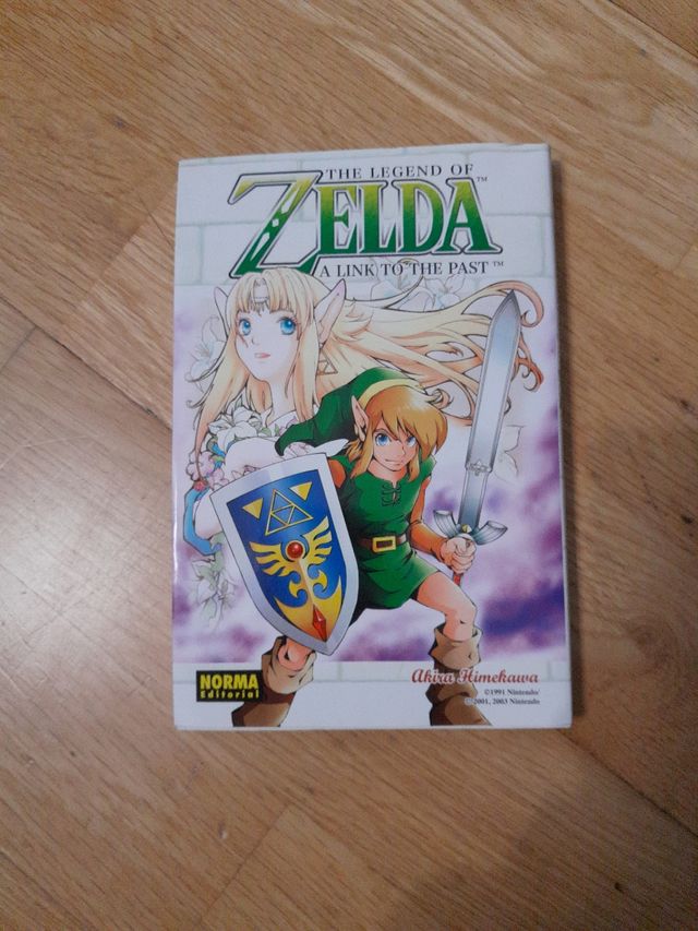 The legend of ZELDA a LinkedIn to the pa