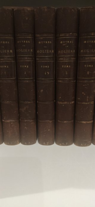 Libros en francés antiguos