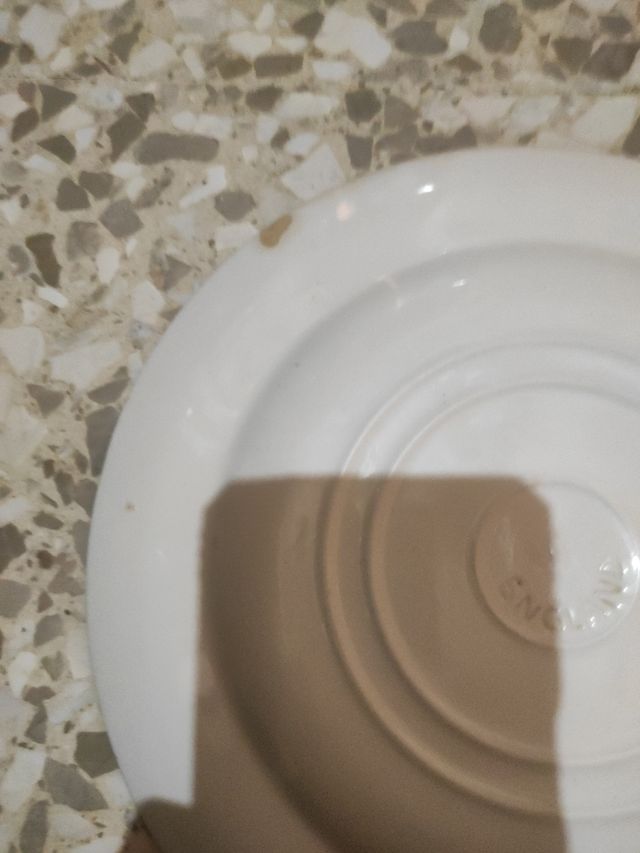 PLATO ESCENA ORIENTAL CHINA OFERTA 10 SOLO HOY