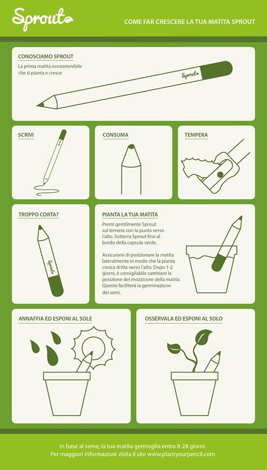 Matite pianta Sprout basilico e pomodoro