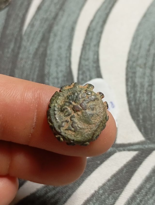 Moneda Griega Reino Seleucida