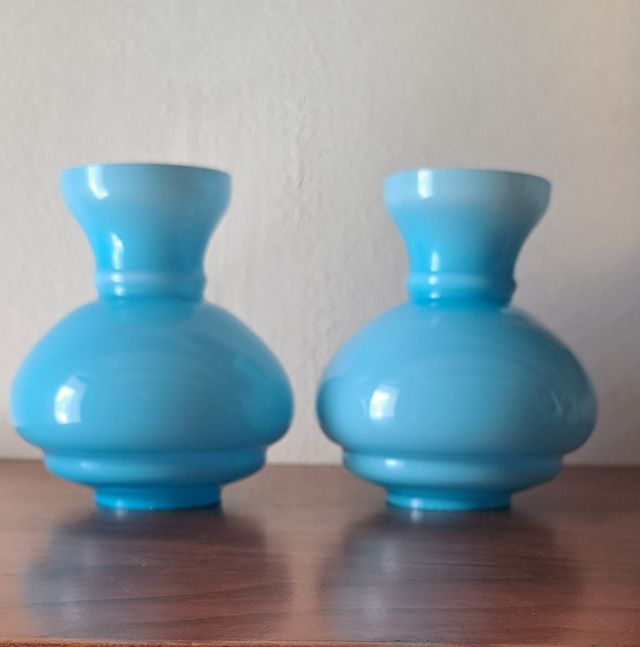 Tulipas de opalina azul