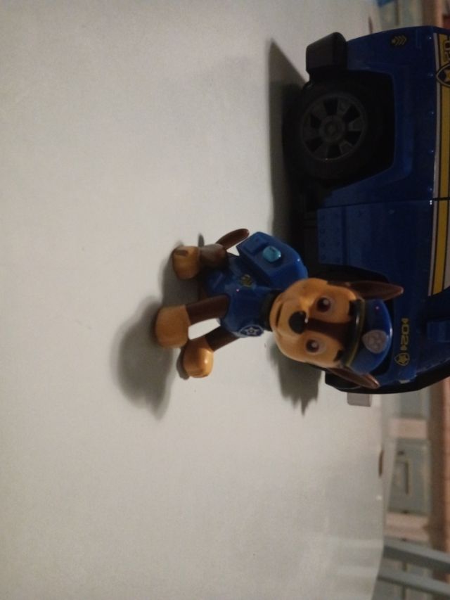 Veicolo paw patrol