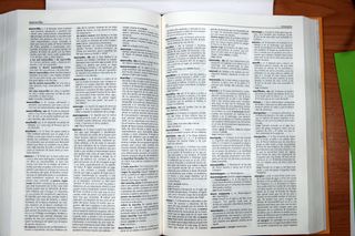 Diccionario Anaya de la Lengua Española