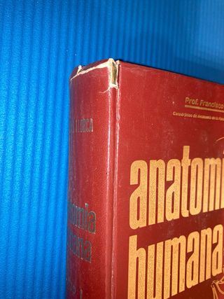 Anatomía humana, prof. Francisco Orts Llorca