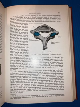 Anatomía humana, prof. Francisco Orts Llorca