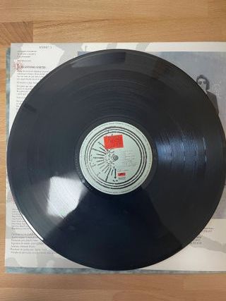 disco vinilo la frontera