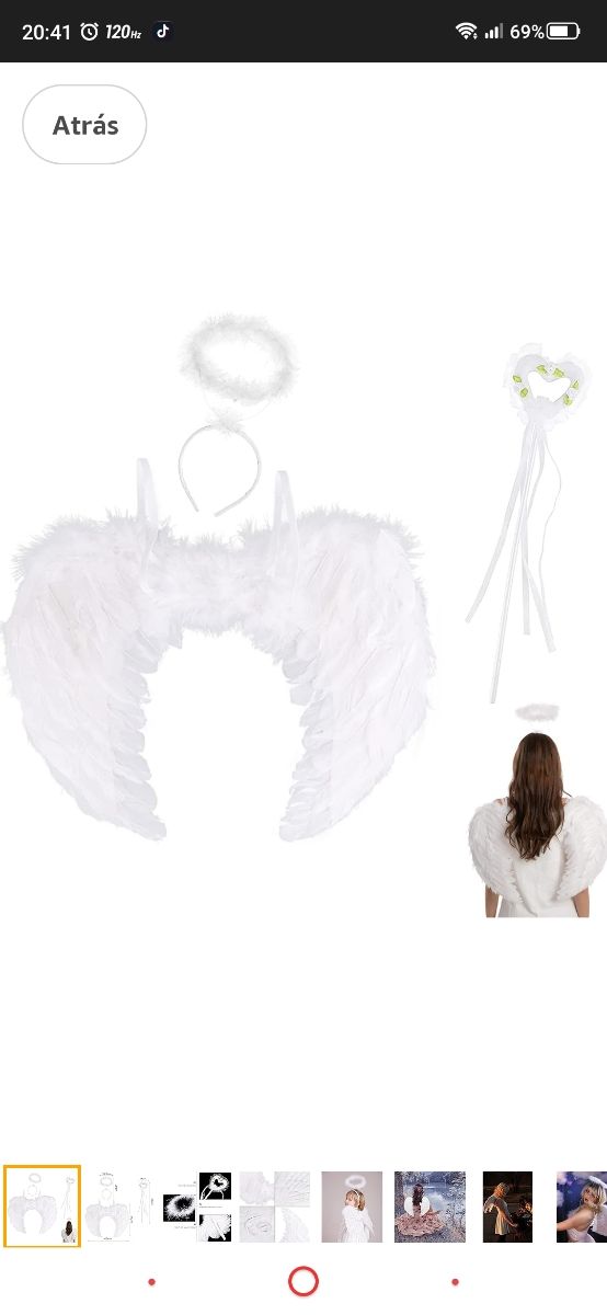 ALAS DE ÁNGEL BARITA CORONA Y DIADEMA ( TENGO 2 )