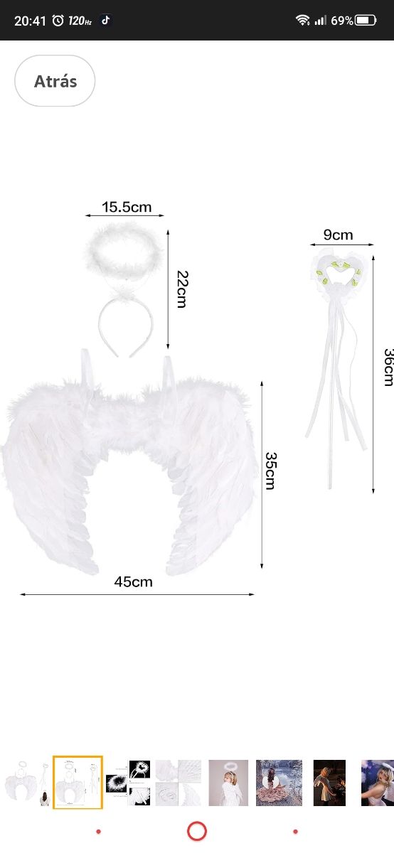ALAS DE ÁNGEL BARITA CORONA Y DIADEMA ( TENGO 2 )