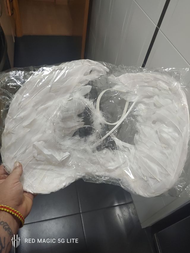 ALAS DE ÁNGEL BARITA CORONA Y DIADEMA ( TENGO 2 )