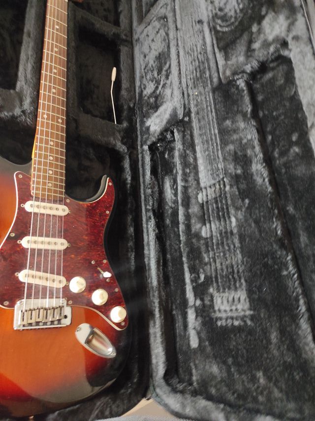 Estuche funda guitarra telecaster o stratocaster