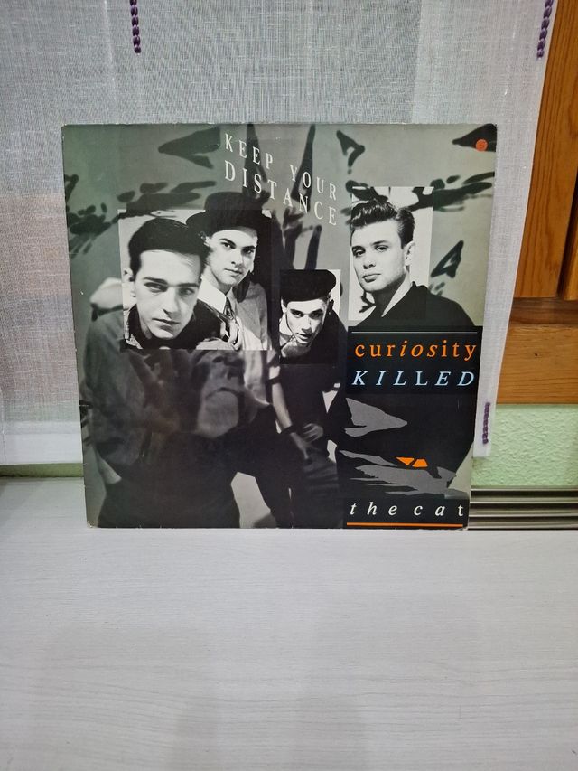 Disco de vinilo.Curiosity killed te cat