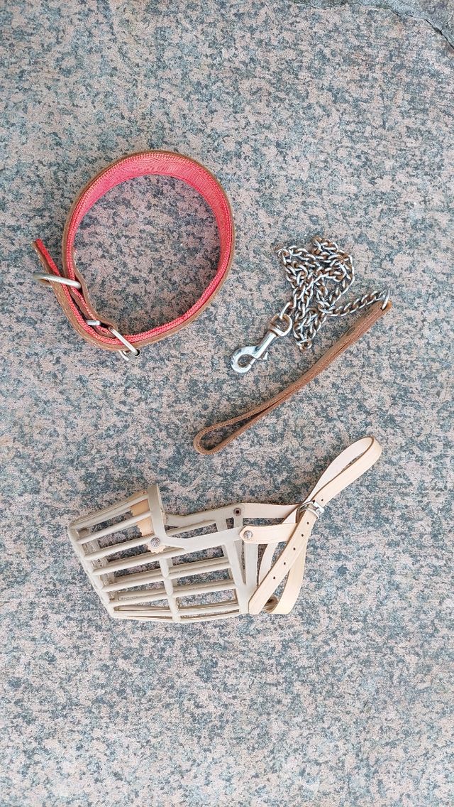 Correa Bozal Collar para mascota perro can