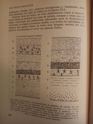 GEOLOGÍA.