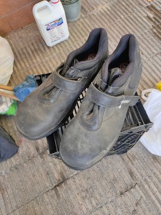Zapatos seguridad Panter