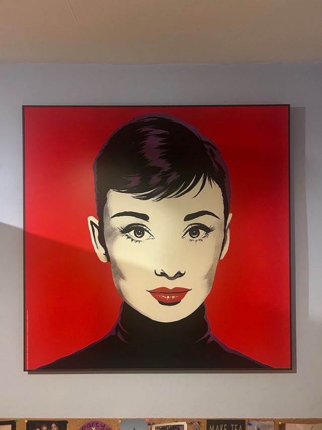 Cuadro Audrey Hepburn