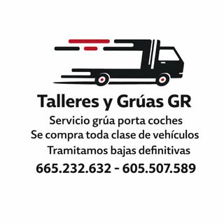 Servisio grua porta coches