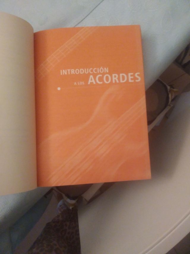 Libro mil canciones y acordes de guitarr