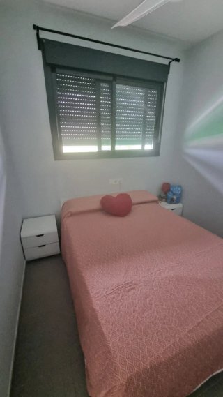 Pintor económico