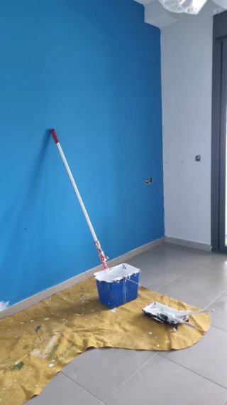 Pintor económico